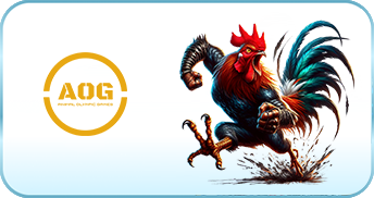 AOG ĐÁ GÀ - SHBET Chính Thức